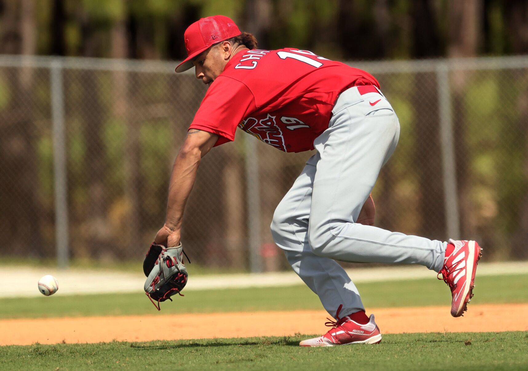 Cardinals minor-league spring training day three in Jupiter